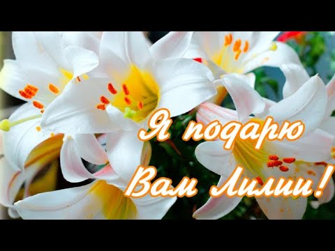 Я подарю Вам Лилии!🌺Вальс лилий!