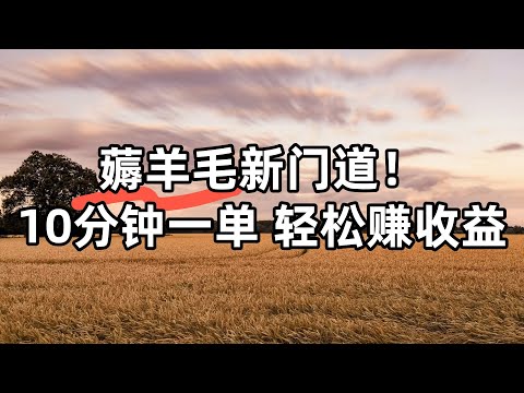 网赚新风口：十分钟一单，UP 主推荐官薅羊毛实战攻略 #在家赚钱 #悠闲赚钱 #赚钱 #干货