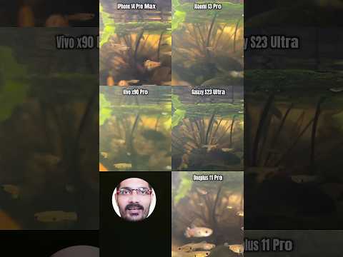 Top 5 Smartphone Camera Test Under Water🤯