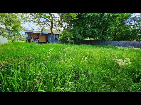 Neighbor Doesn't BELIEVE ME I'm Cutting Her TALL GRASS Down For FREE