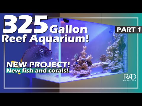 325 GALLON REEF AQUARIUM IN BOCA RATON, FLORIDA. BRAND NEW INSTALLATION BY REEF AQUARIA DESIGN.