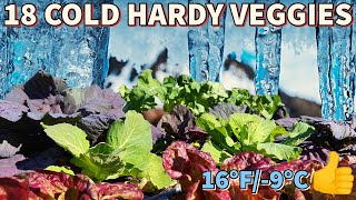 These 18 Winter Veggies LAUGHED At 16 Degrees! Grow Them NOW!