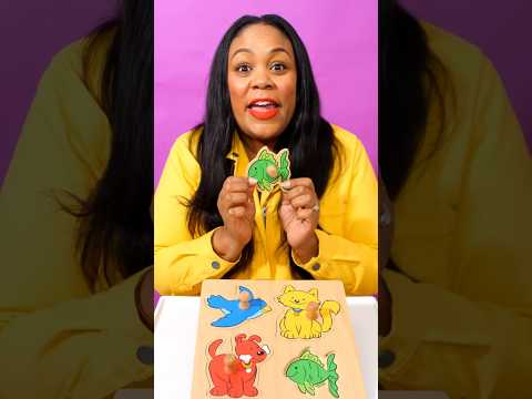 Learn Matching | Learn Animals | Puzzle Activity | Toddler Activity | Puzzles for Toddlers | Colors