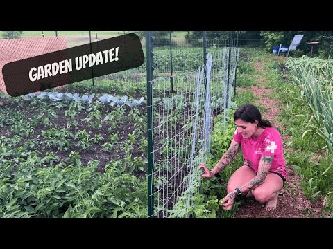 Garden Update | Homestead Garden Tour