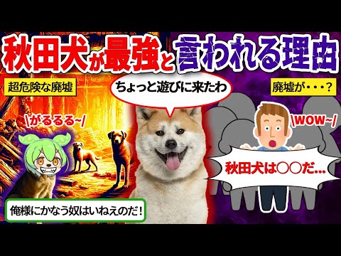 秋田犬が廃墟となったアメリカの村に連れて行かれた結果…