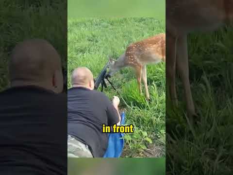 Hilarious Deer Encounter With Hunters! #cute #nature #funny #hunting #peace #unexpected #shocking