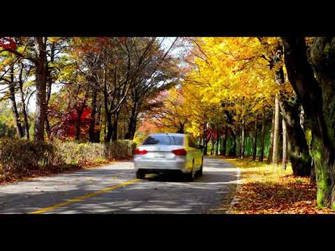 Car Driving By | Copyright Free Video Footage