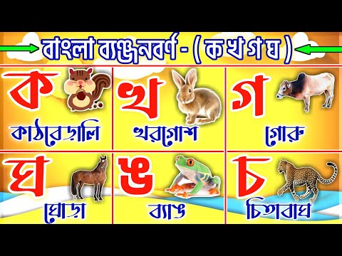 ka kha ga gha | Bangla bornomala learning | bangla alphabet | ব্যঞ্জনবর্ণ ক খ গ ঘ | ক খ গ ঘ ঙ বাংলা