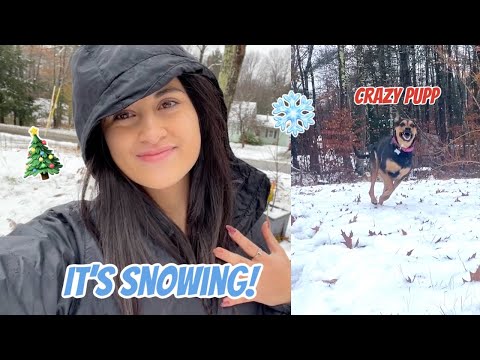 First Snowfall of the year! | Vlog