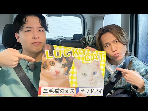 【TV出演】新婚2人で旅に出ました！！