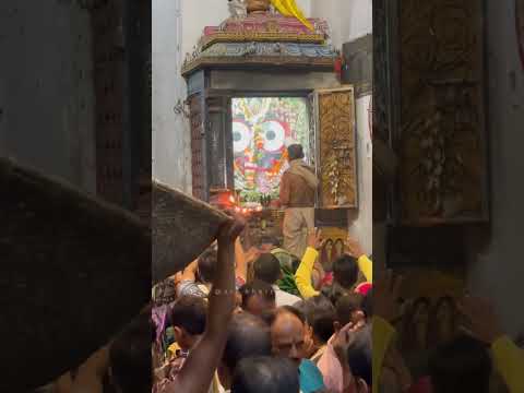 Sandhya darshan of Shree Jagannath at Jagannath dham puri 🙏🏻✨🥺#shorts #shortsfeed #jagannath