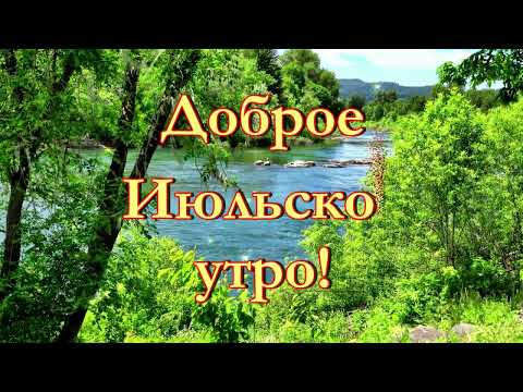 Доброе Июльское Утро! Яркого Денечка!