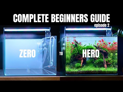 EP:2 Complete Aquascaping Beginners Guide - Preparing the setup