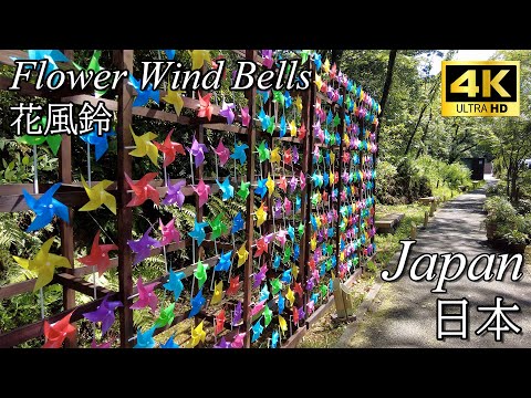 【Walk/散歩】Edo Wind Chime/花風鈴