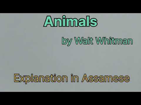 ANIMALS ll Walt Whitman ll SEBA ll NCERT ll Class 10 ll In Assamese ll