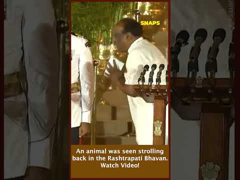 An animal was seen strolling back in the Rashtrapati Bhavan  Watch Video!