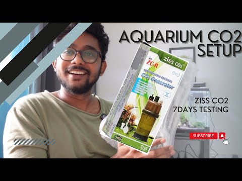 Aquarium CO2 Setup in Tamil - Ziss Co2 1week Live Testing.