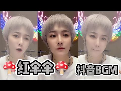 红傘傘 | 最近抖音火红洗脑BGM 『🍄红伞伞 白杆杆🍄』#红伞伞 #躺板板 #吃饭饭