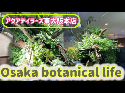 🍃Osaka botanical life🍃アクアテイラーズ東大阪本店に行ってきました💕