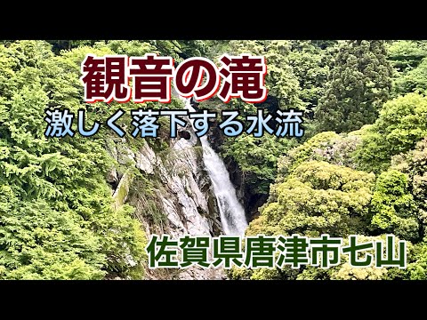 【佐賀】日本の滝百選「観音の滝」の豪快な水流