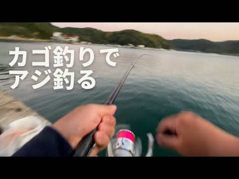 カゴ釣りでアジを狙うとサビキでは釣れないサイズが釣れる