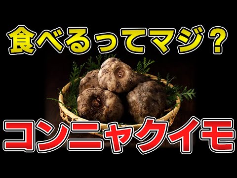 ゆっくり毒物vol.73　コンニャクイモ【ゆっくり解説】