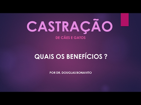 🔴 Castração de Cães e Gatos: Por que você deve fazer isso pelo seu Pet ✅