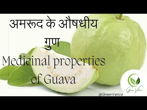 अमरूद के औषधीय गुण|Medicinal properties of Guava|The Dark Side of Guava's Healing Benefits