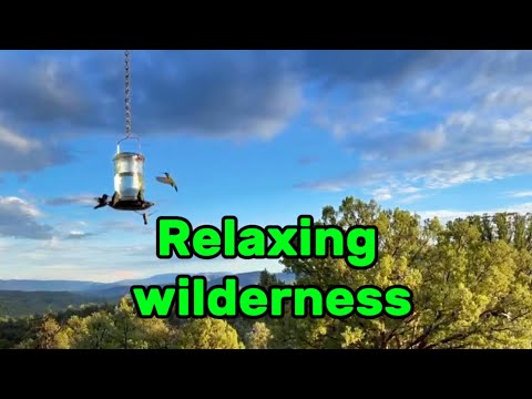 relaxing outdoor sounds