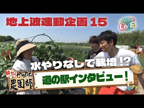 【農園部15】道の駅で農家さんにインタビュー!水やりなしで露地栽培!?