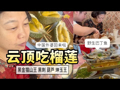 外婆从中国回来马来西亚啦！上云顶吃榴莲，一次开四个品种，一个比一个好吃！云顶半山吃野生巴丁鱼｜带外婆试下最好吃的椰浆饭｜中国人在马来西亚VLOG