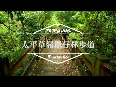 S步道｜台中｜草嶺楓仔林步道｜清涼寺蝙蝠洞秘境｜太平區