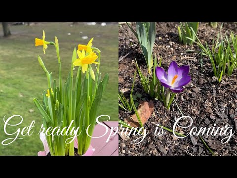 Get ready Spring is Coming