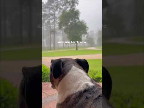 Rainy front porch sesh with Izzy 🌧️#newmusic #songwriter #indiemusic #musicrelease #spotify