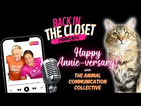 We Found A Kitten & It's Her Annie-versary | Back In The Closet with Animal Communicators