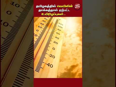 தமிழகத்தில் வெயிலின் தாக்கத்தால் ஏற்பட்ட உயிரிழப்புகள் #summer #heatwaves #weatherreport