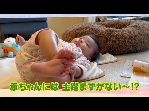 【公式】「赤ちゃんには 土踏まずがない～！？」（11月24日放送）｜テレビ西日本