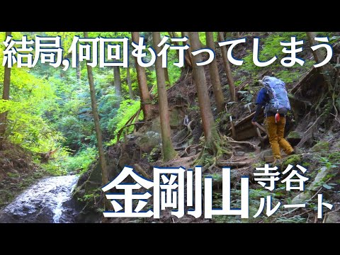 金剛山の初心者オススメルートは寺谷ルート！経験者もついつい何度も行ってしまう中毒コース ヘタレ夫婦登山Vol.97