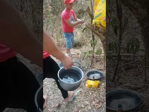 buhay sa bundok #shortsvideo #naturelovers #goodvibes