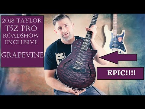 Taylor T5z Pro LTD 2018 Road Show Exclusive Hollowbody, Grapevine Demo