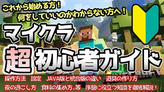 マイクラ超初心者向けサバイバル講座！設定から序盤にやること、進め方を簡単解説！【マインクラフト】Minecraft 【PC/PS4/Xbox/スイッチ/Switch/スマホ/PE/】