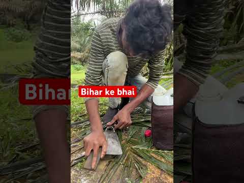 Kaun kaun Bihar se hain #malaysia #india #viralshort #foryou #shorts #harvesting #ytshortsvideo