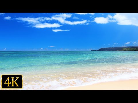 Beautiful Hawaii: Tropical Beach Ambience with Relaxing Ocean Sounds for Stress Relief (4K UHD)