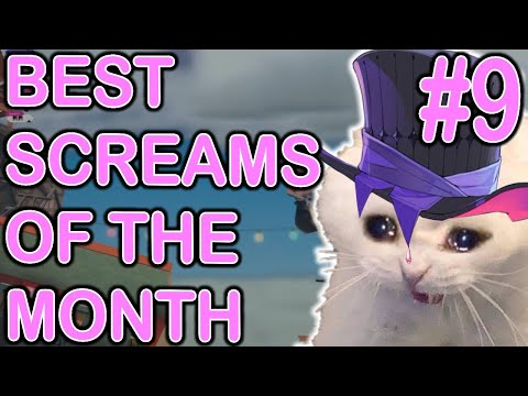 BEST SCREAMS OF THE MONTH | part 9 | January 2024 #gavisbettel #holotempus