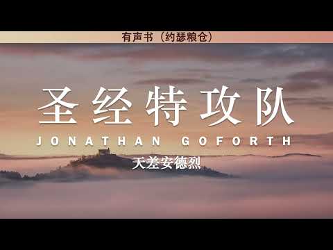 圣经特攻队 Gods Smuggler | 天差安德烈 | 有声书