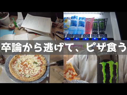 卒論が意味不明、深夜にピザ食う【vlog】