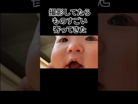 【近い‼︎】撮影中に赤ちゃん急接近 #shorts   #赤ちゃん   #baby