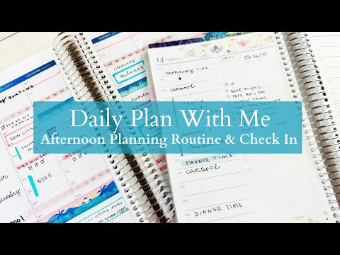 Daily PLAN WITH ME | Afternoon Planning Routine | Erin Condren Daily Duo + Weekly Overview Check In