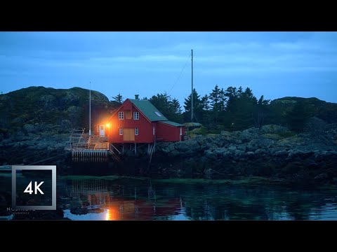 Calming Evening Ocean Sounds in Norway, Nature Sounds for Sleep and Relaxation