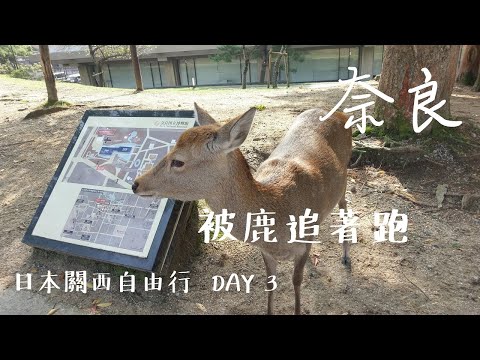 2019 日本關西自由行 Day 3  奈良 - 大阪萬博紀念公園 Expocity 萬博城